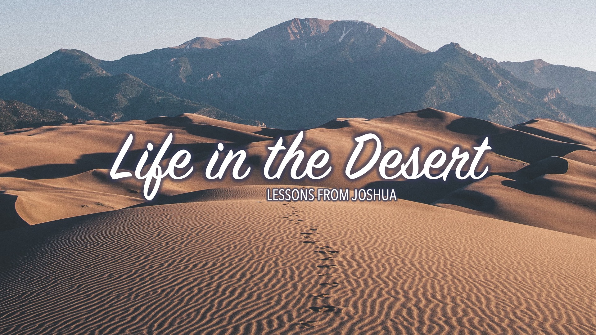 Joshua: Life In The Desert