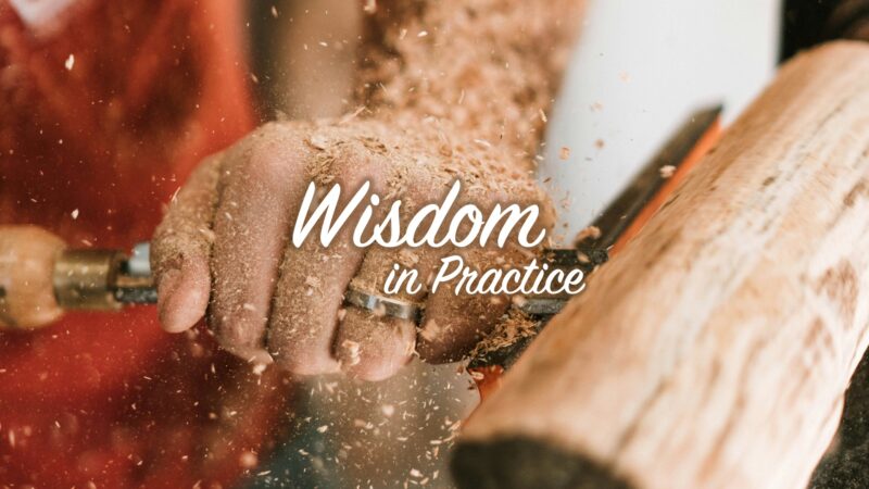 Wisdom In Practice