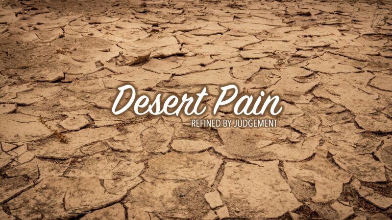Desert Pain