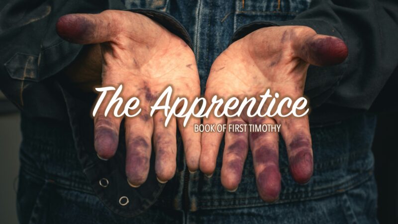 The Apprentice